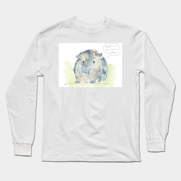 Greedy piggy Long Sleeve T-Shirt by DebTheZeb